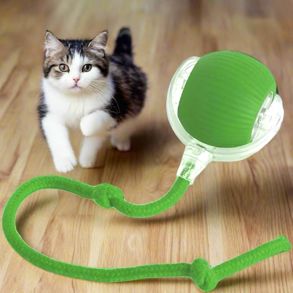 Lettuce Interactive Cat Toys Rolling Ball, Smart Interactive Dog Toys, Electric Cat Toy Ball Rechargeable 2024 Pet Toys 강아지장난감