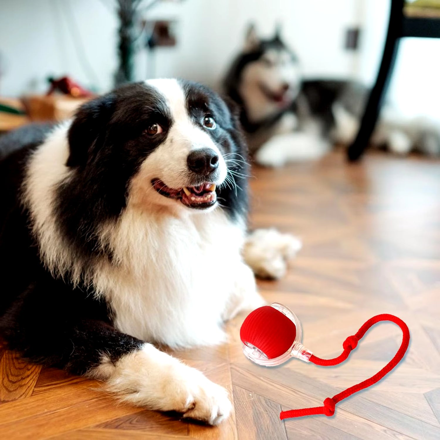 Smart Interactive Rolling Ball: Fun Rechargeable Toy for Cats & Dogs